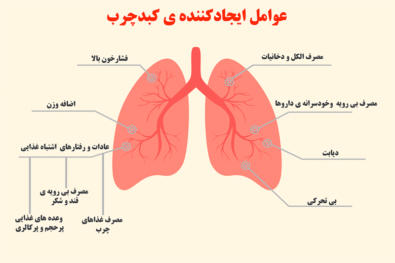 عوامل ایجاد کننده کبد چرب