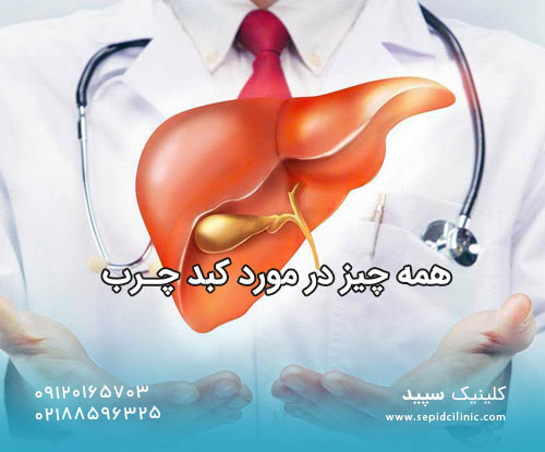 همه چیز در مورد کبد چرب