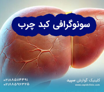 سونوگرافی کبد چرب