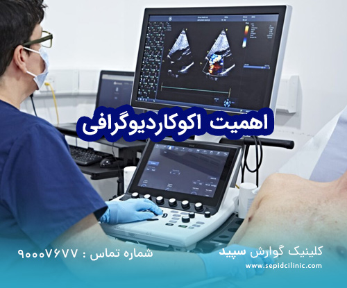 اکوکاردیوگرافی