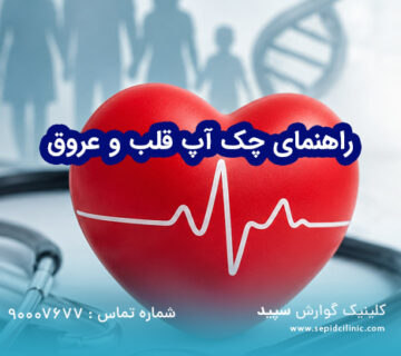 راهنمای چک آپ قلب و عروق
